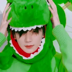 tfboys的四叶草头像