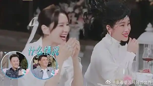 秦海璐|张翰|妻子的浪漫旅行_新浪新闻