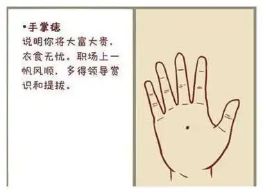 中指代表自己,无名指代表配偶,小指代表子息,因此拇指有痣或食指上有