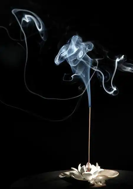 香道师这个职业是高雅的,且有文化品味及内涵的.