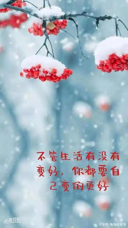 不管生活有没有变好,你都要自己变的更好