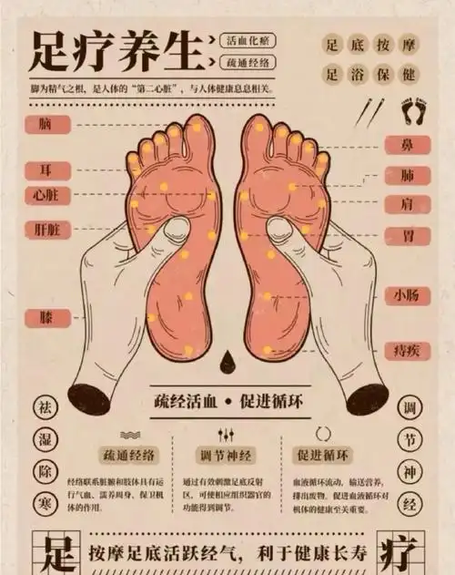 按摩脚底有哪些穴位可以达到养生目的呢?