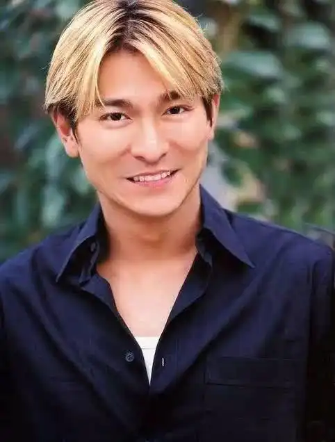 刘德华99年最帅发型 - 搜狗图片搜索