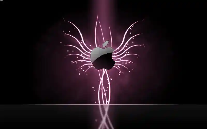 手机设置锁屏壁纸方法方式1待机界面长按屏幕弹出主屏界面壁纸左上角