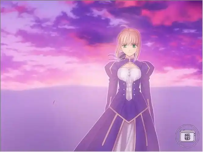 团子指的不是动画作品,剧场版的ubw也让团子看的很崩溃,但是fsn的游戏