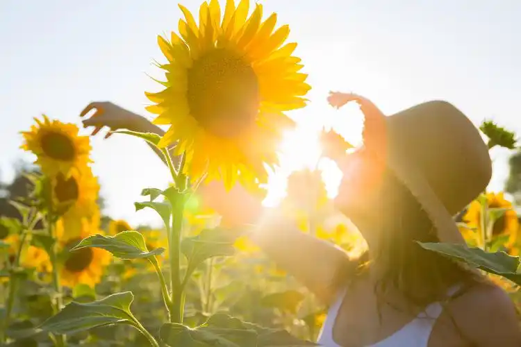 阳光微笑唯美意境图片女孩面向阳光唯美图片微笑图片阳光明媚微笑图片