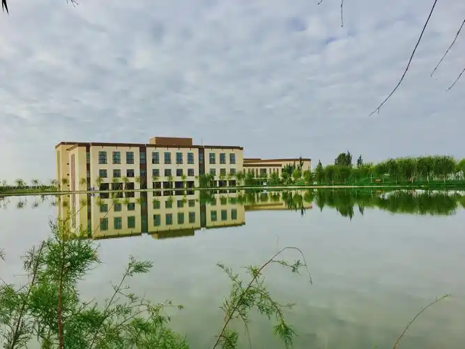 新疆财大商务学院