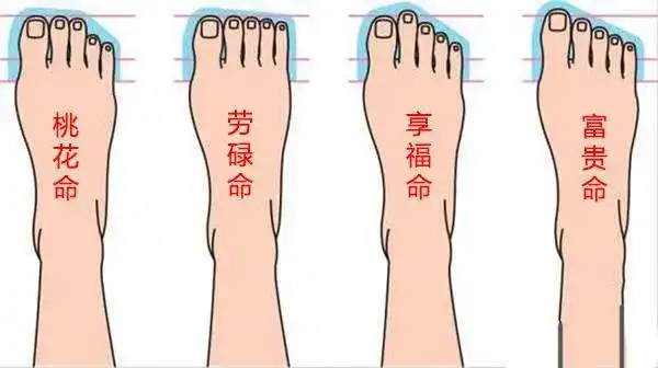 心理测试:你的命运和性格,从脚的细节一眼看出!不准你打我!