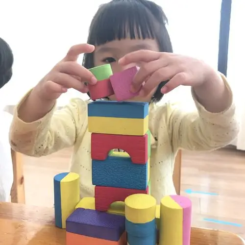 区域活动:搭积木