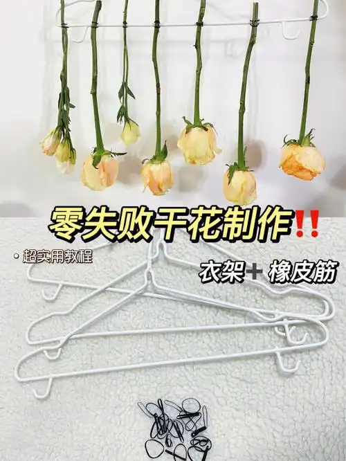 里随处可见的小黑皮筋77闲置衣架(根据花枝数量来准备)21566修