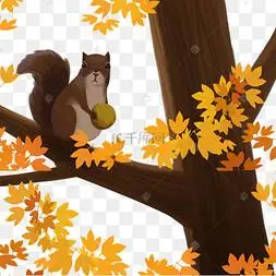 在树上的松鼠