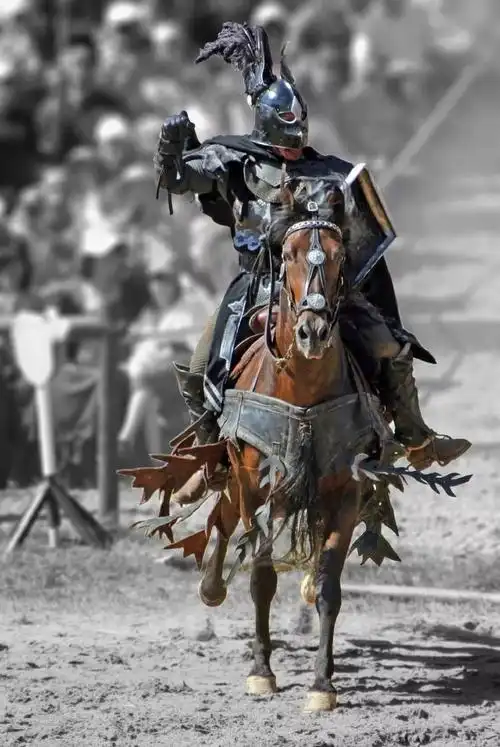 欧洲中世纪的骑士精神 | 思想之美