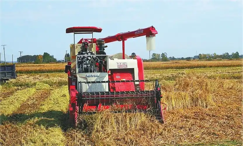 稻谷装车走 秸秆尽打包|通河县|秸秆|水稻_新浪新闻