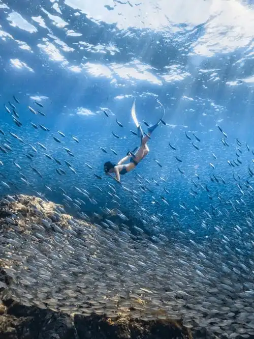 三亚潜水课程环境双帆石自由潜