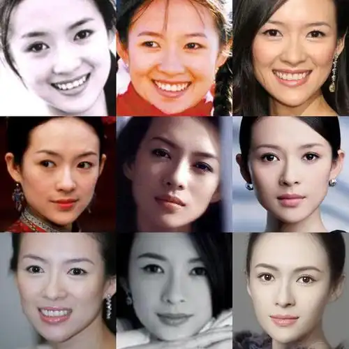 做了些大型流量女明星容貌变化图