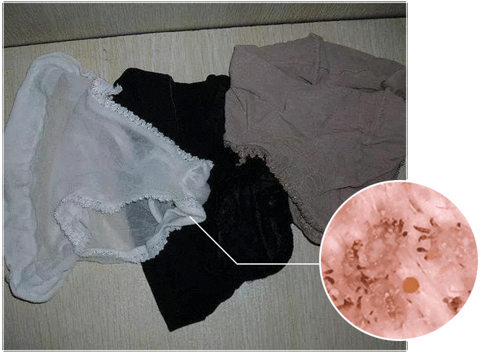 这条好内裤要无限回购3a抑菌透气轻盈无痕穿了像没穿