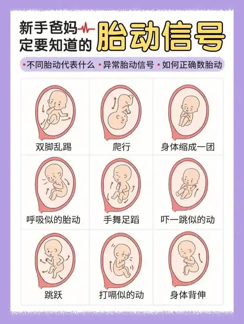 孕妈一定要知道的胎动知识异常胎动表现