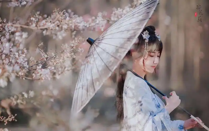 免费穿越小说排行榜前十名完结篇(三本顶级好看到爆的经典穿越书推荐)