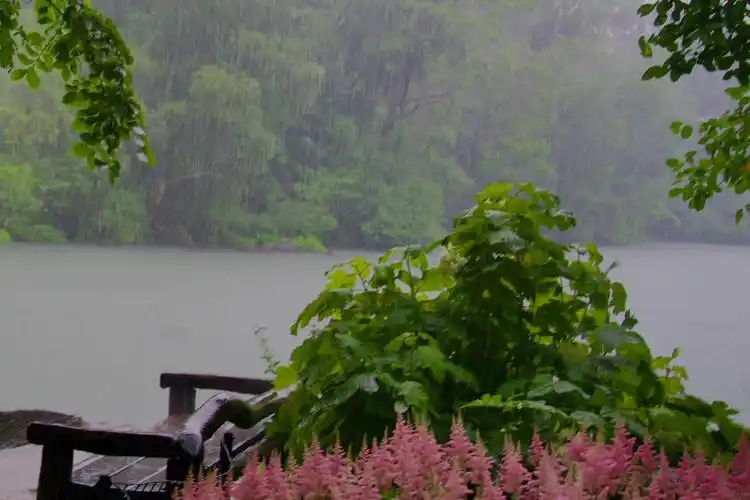 中央公园雨景