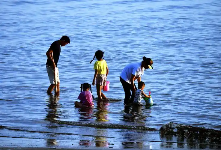 《海边拾贝壳》