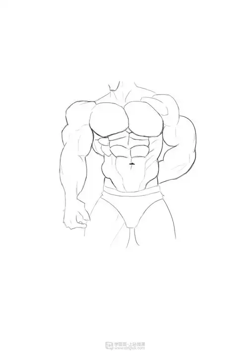 作业:如何学画手绘动漫人物之男性肌肉画法与训练技巧 - drinking