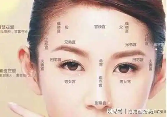 将处于领导地位一般此种面相的女人多半都是要女强人女人左下巴长痣