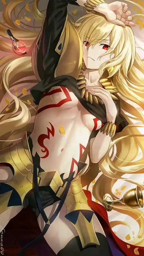 《fate zero》黑泥腐蚀