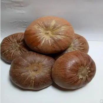 补肾果有什么功效与作用常吃补肾果有五大好处