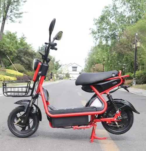 厂家电动车成人两轮豪华电动自行车48v小电瓶车真空胎电动摩托车