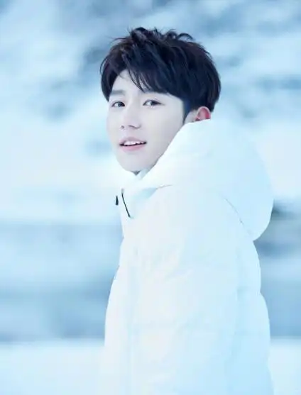 王俊凯王源易烊千玺胡一天吴磊 你心目中的"初雪男孩"是谁?