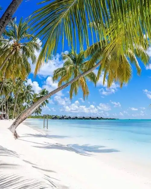 马尔代夫浅蓝色的海与白色沙滩的邂逅