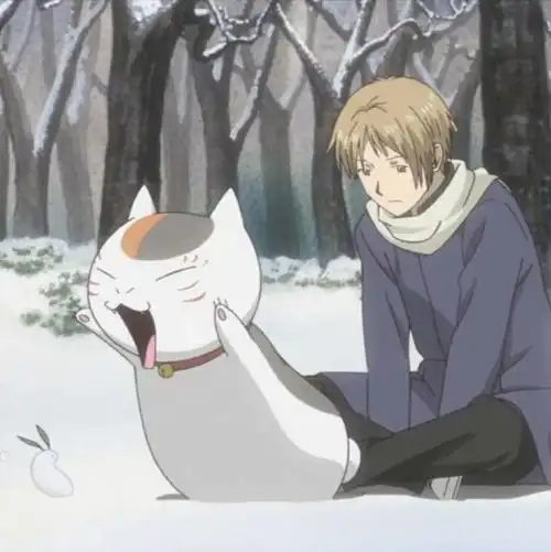 夏目友人帐贵志和猫咪老师