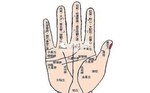 解读男人左手生命线分叉手相分叉不同寓意不同