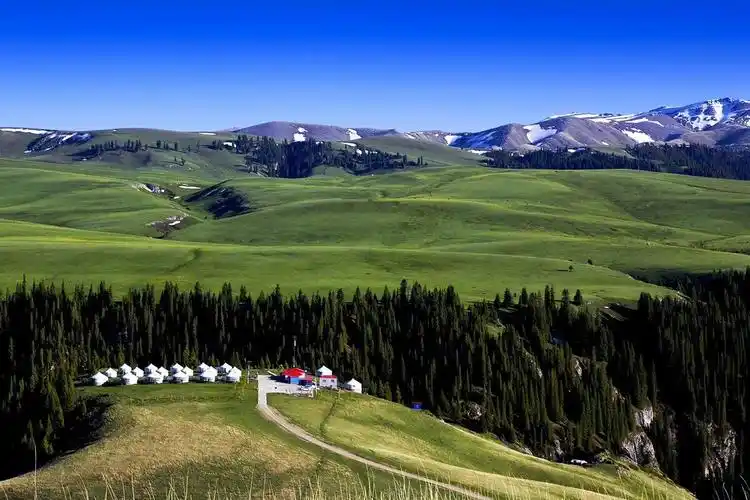 新疆天山草原美景