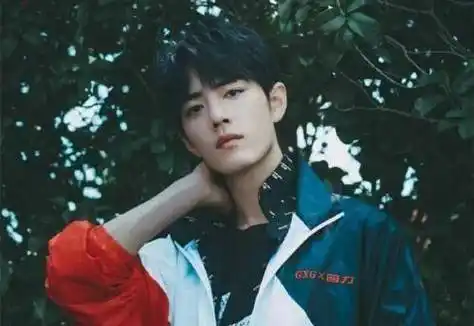 打着作家旗号讽刺肖战作家过分还是肖战罪大恶极