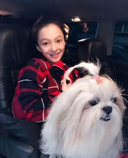 都说张韶涵侮辱范玮琪但维嘉一句话道明人品韩红更是一针见血