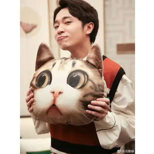 我是歌手吴青峰同款印花猫咪抱枕喵星人沙发可拆洗靠垫床头靠枕背