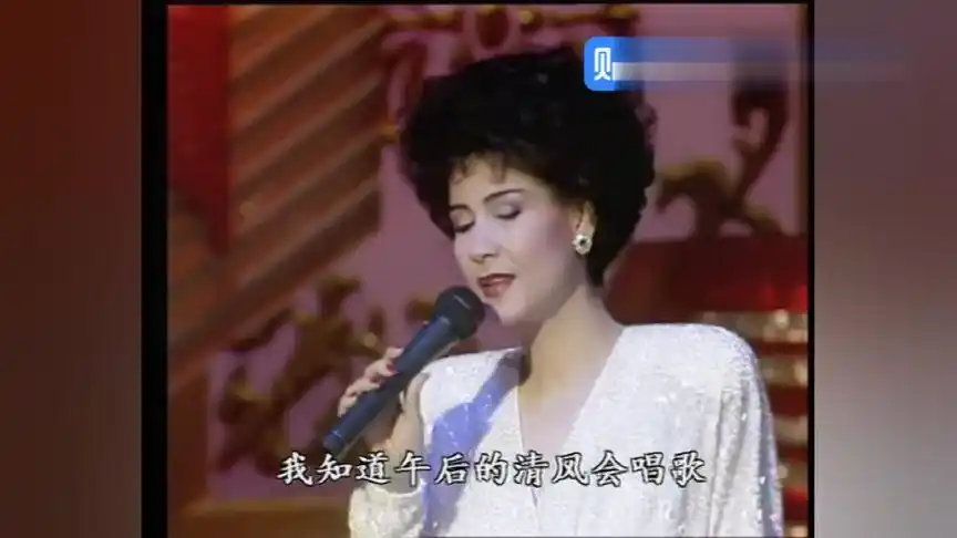 终于找到了!91年春晚--甄妮《鲁冰花》,百听不厌,情怀不减