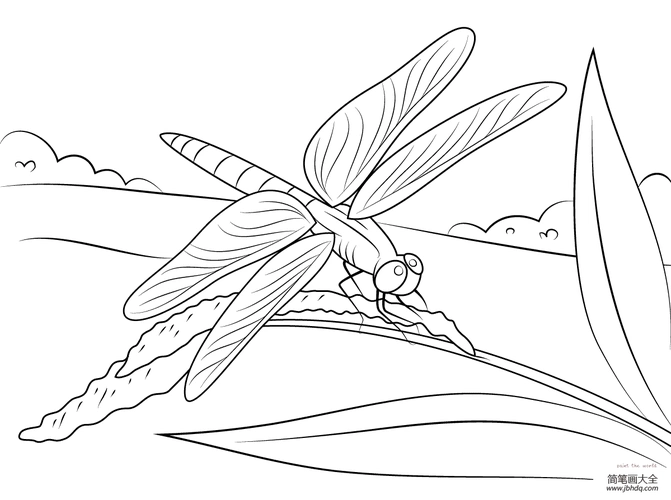 卡通蜻蜓的画法