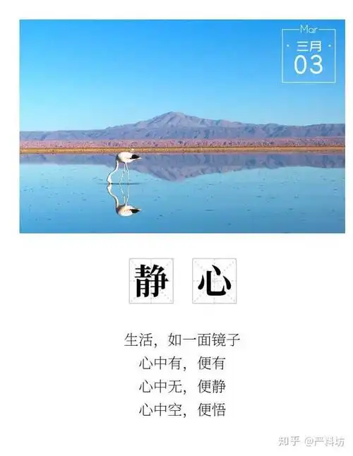 人生如茶,静心以对.时光如水,沉淀方澈.#早安# yanjunland
