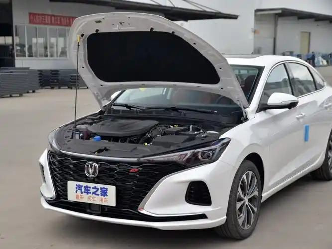 长安汽车 逸动 2021款 plus 蓝鲸ne 1.4t gdi dct旗舰型