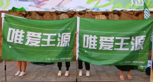 旗帜,还有易拉宝之类的应援物,现场一片绿色的海洋,王源的粉丝们每次