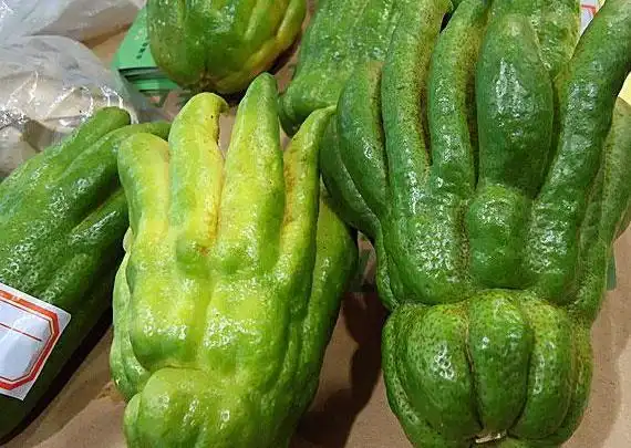 南方超级冷门的4种水果,很少有人吃过3种,南方人都不一定吃过