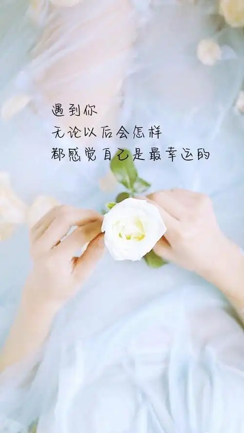 情感文字壁纸|字里行间,每一条都很有道理