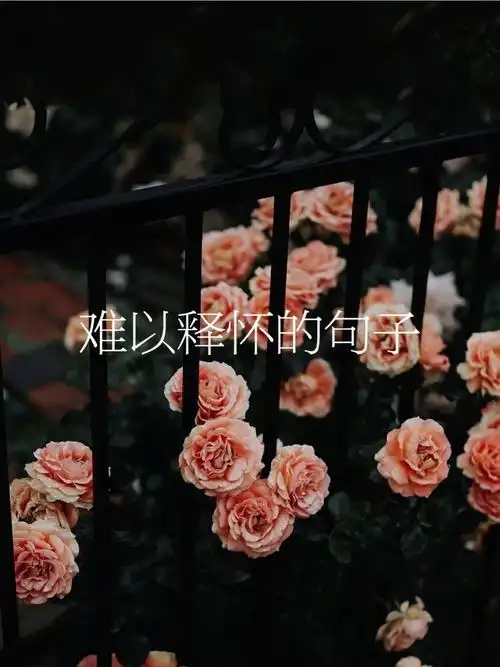 我好像没有那么喜欢你了