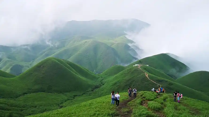 武功山之高山草甸 - 简书