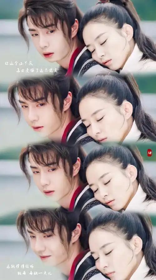 有翡赵丽颖x王一博