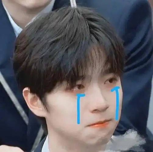 有没有张嘉元的表情包啊