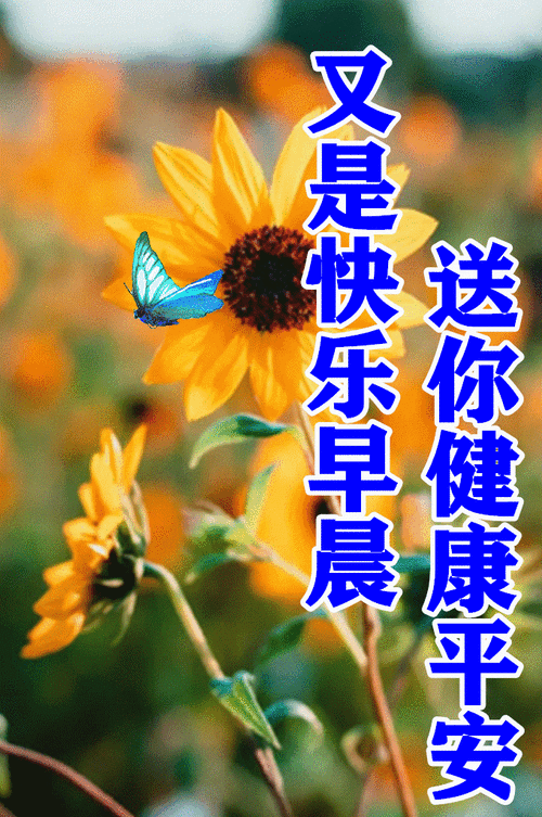 原创2021早晨好祝福语录送朋友暖心句子最美早上好祝福文字图片