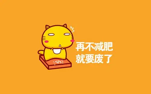 哈咪猫减肥语录创意卡通图片桌面壁纸高清大图预览1920x1200_设计创意